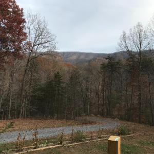 Photo #80 of 1019 Wagon Trail Road, Monroe, VA 7.9 acres