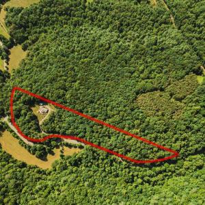 Photo #4 of 1019 Wagon Trail Road, Monroe, VA 7.9 acres