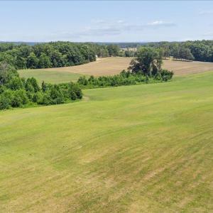 Photo #41 of 1606 Mt Calvary Road, Brookneal, VA 16.3 acres