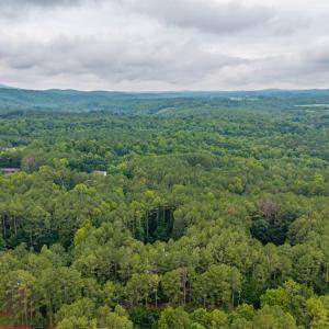 Photo #71 of 330 Hiley Terrace, Lynchburg, VA 1.9 acres