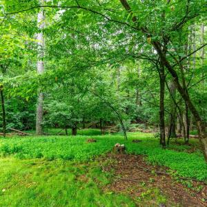 Photo #60 of 330 Hiley Terrace, Lynchburg, VA 1.9 acres