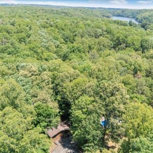 Photo #3 of 1842 Thomasson Lane, Goodview, VA 1.1 acres