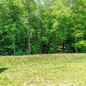 Photo #47 of 149 Lockridge Lane, Lynchburg, VA 0.1 acres