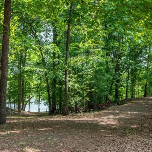 Photo #81 of 3073 Jones Ferry Road, South Boston, VA 23.5 acres