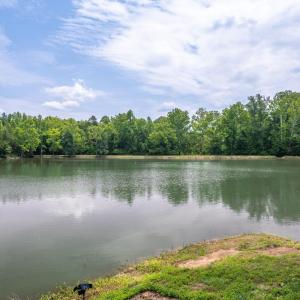 Photo #82 of 3073 Jones Ferry Road, South Boston, VA 23.5 acres