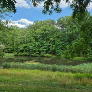 Photo #2 of 1243 Thornbird Place, Huddleston, VA 5.0 acres