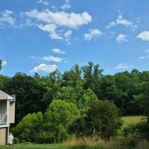 Photo #10 of 1243 Thornbird Place, Huddleston, VA 5.0 acres