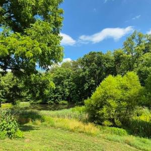 Photo #7 of 1243 Thornbird Place, Huddleston, VA 5.0 acres