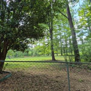 Photo #9 of 1243 Thornbird Place, Huddleston, VA 5.0 acres