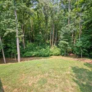 Photo #70 of 199 Irvington Springs Road, Lynchburg, VA 2.6 acres