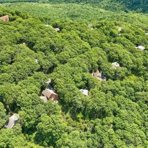 Photo #77 of 740 Laurelwood, Wintergreen, VA 0.1 acres