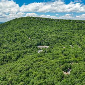 Photo #74 of 740 Laurelwood, Wintergreen, VA 0.1 acres