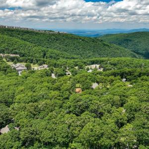 Photo #81 of 740 Laurelwood, Wintergreen, VA 0.1 acres