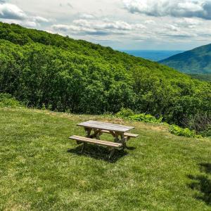 Photo #84 of 740 Laurelwood, Wintergreen, VA 0.1 acres