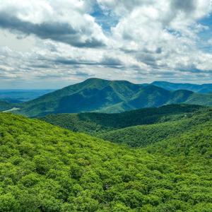 Photo #69 of 740 Laurelwood, Wintergreen, VA 0.1 acres