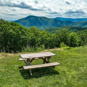 Photo #83 of 740 Laurelwood, Wintergreen, VA 0.1 acres