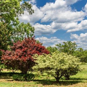 Photo #88 of 7655 Hat Creek Road, Brookneal, VA 370.4 acres