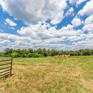 Photo #87 of 7655 Hat Creek Road, Brookneal, VA 370.4 acres