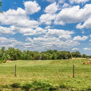 Photo #89 of 7655 Hat Creek Road, Brookneal, VA 370.4 acres