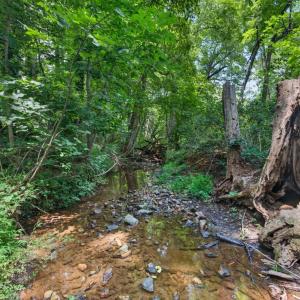 Photo #81 of 114 Buckingham Drive, Lynchburg, VA 6.0 acres