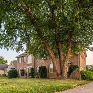 Photo #75 of 2181 Colby Drive, Forest, VA 1.3 acres