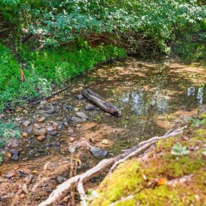 Photo #39 of 50 Laurel Lane, Lynchburg, VA 0.6 acres