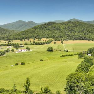 Photo #7 of 1361 Hurricane Creek Road, Big Island, VA 22.3 acres