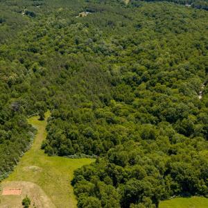 Photo #16 of 459 Iron Ridge Lane, Lynchburg, VA 45.2 acres