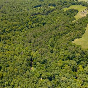 Photo #17 of 459 Iron Ridge Lane, Lynchburg, VA 45.2 acres