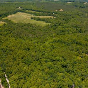 Photo #18 of 459 Iron Ridge Lane, Lynchburg, VA 45.2 acres