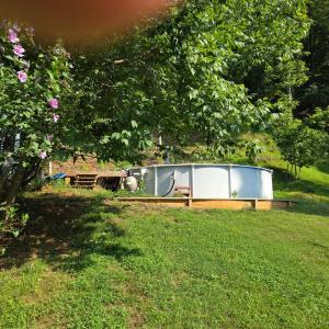Above ground pool with deck