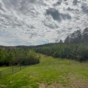 Photo #19 of 1361 Homeplace Rd, Rustburg, VA 23.3 acres