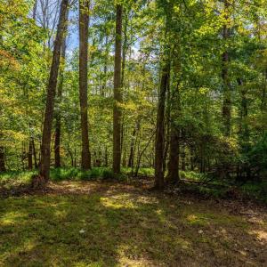 Photo #20 of 105 Whisperridge Ct, Moneta, VA 2.8 acres