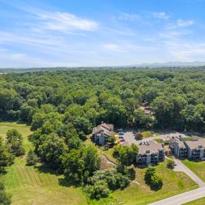Photo #41 of 1321 Twin Springs Court, Forest, VA