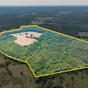 Photo #94 of 1370 Moonlight Road, Appomattox, VA 186.6 acres