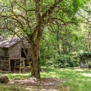 Photo #87 of 1370 Moonlight Road, Appomattox, VA 186.6 acres