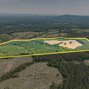 Photo #96 of 1370 Moonlight Road, Appomattox, VA 186.6 acres