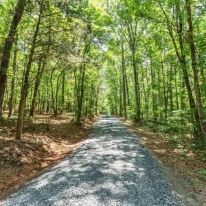 Photo #79 of 1370 Moonlight Road, Appomattox, VA 186.6 acres