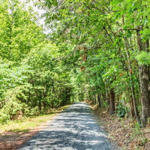 Photo #80 of 1370 Moonlight Road, Appomattox, VA 186.6 acres