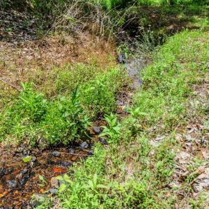 Photo #89 of 1370 Moonlight Road, Appomattox, VA 186.6 acres
