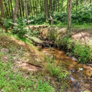 Photo #88 of 1370 Moonlight Road, Appomattox, VA 186.6 acres