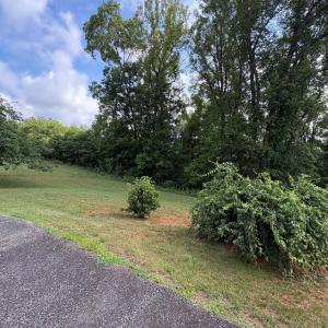 Photo #7 of 1060 Pocket Road, Hurt, VA 2.0 acres