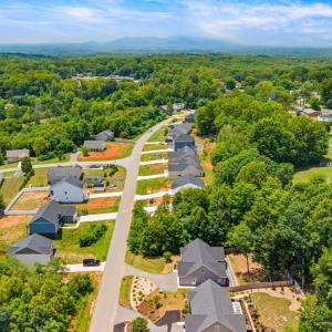 Photo #58 of 59 Patrick Court, Madison Heights, VA 0.3 acres