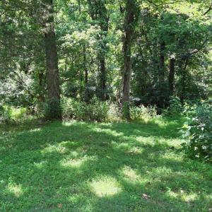 Photo #6 of 3578 Gregory Lane, Lynchburg, VA 0.8 acres