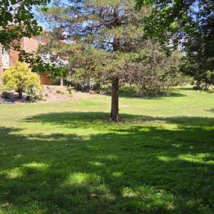 Photo #5 of 3578 Gregory Lane, Lynchburg, VA 0.8 acres