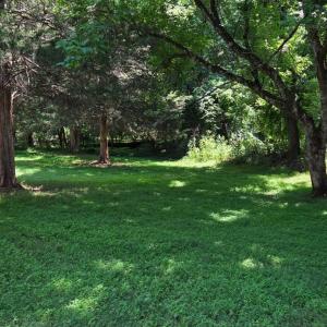 Photo #4 of 3578 Gregory Lane, Lynchburg, VA 0.8 acres