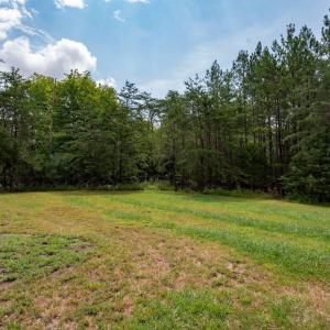 Photo #53 of 8840 Charlemont Road, Goode, VA 1.0 acres