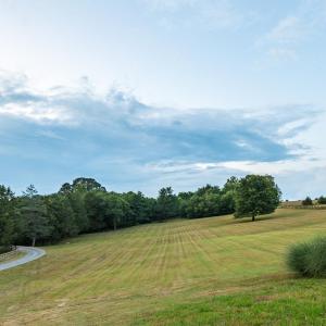 Photo #73 of 5175 Goode Road, Goode, VA 20.0 acres