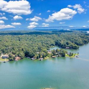 Photo #69 of 1080 Forest Way Circle, Moneta, VA 0.6 acres