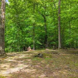 Photo #51 of 971 Rothowood Road, Lynchburg, VA 2.5 acres